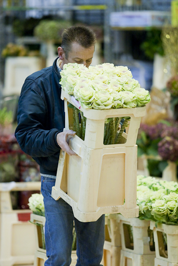 MIN RUNGIS-Fleurs-64.jpg